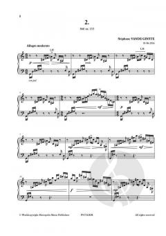 Complete 366' Book XXVII 6 Etudes von Stephane Vande Ginste 