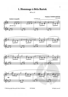 Complete 366' - Book XXVIII: 12 Hommages von Stephane Vande Ginste 