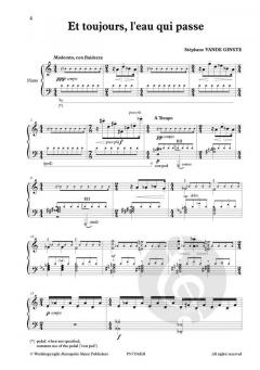 Et toujours, l'eau qui passe von Stephane Vande Ginste 