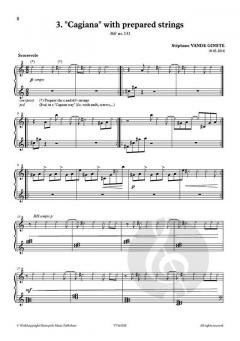 Complete 366' Book XXXII Experimental Songs von Stephane Vande Ginste 