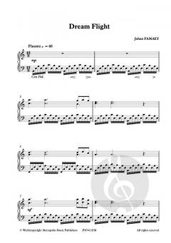 Dream Flight von Johan Famaey 