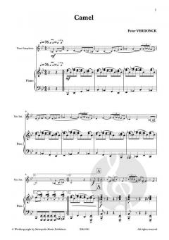 Transport Miniatures von Peter Verdonck 