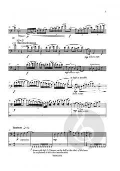 Lacrymosa von Jukka Pekka Lehto 