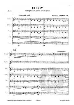 Elegy von François Glorieux 