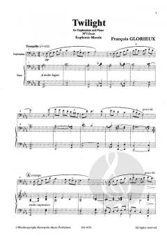 Euphonic Moods von François Glorieux 