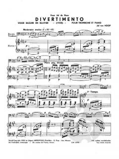 Divertimento von Jef van Hoof 