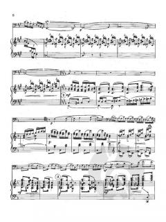 Divertimento von Jef van Hoof 