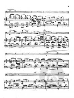 Divertimento von Jef van Hoof 