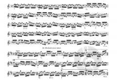 Der Weg hinauf (Hans Ulrich Staeps) 