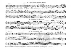 Der Weg hinauf (Hans Ulrich Staeps) 