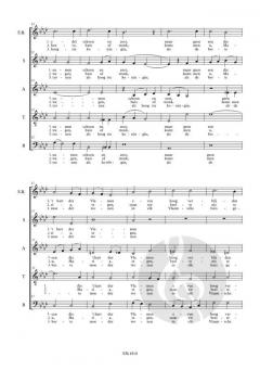 OLV van Vlaanderen  von Lodewijk de Vocht 