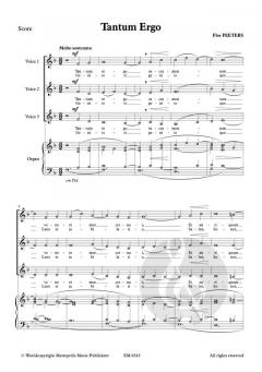 Tantum Ergo von Flor Peeters 