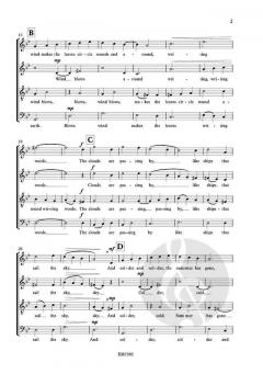 Dark Seasons - Fall von Sigrid Schuerweghs 