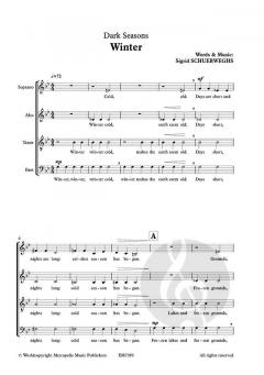 Dark Seasons - Winter von Sigrid Schuerweghs 