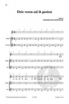 Zing Mee! De drie veren von Christa Steenhuyse-Vandevelde 