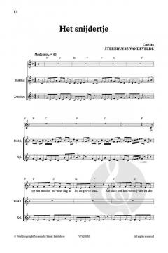 Zing Mee! Het dappere snijdertje of Zeven in één Klap von Christa Steenhuyse-Vandevelde 