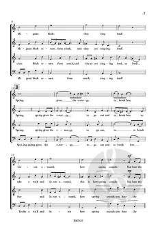 Light Seasons - Spring von Sigrid Schuerweghs 