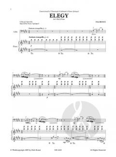 Elegy von Dirk Brossé 