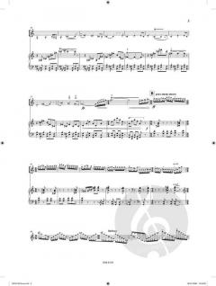 Musette von Jan van Landeghem 