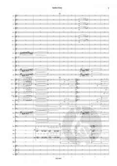 Sudden Glory von Akira Toda 