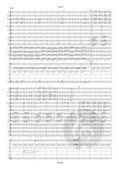 The Door von Akira Toda 