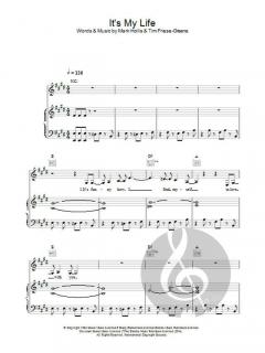 It's My Life von No Doubt 