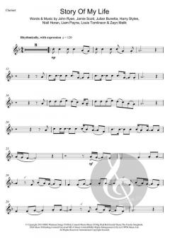 Story Of My Life von One Direction (Download) 