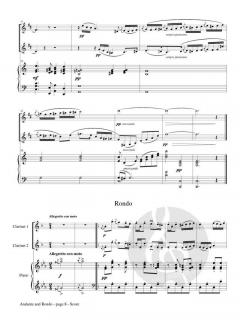 Andante and Rondo op. 25 von Franz Doppler 