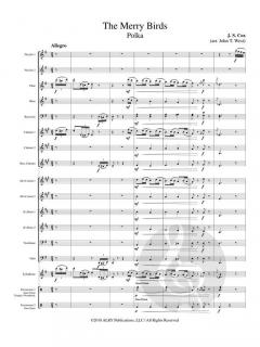 The Merry Birds von John Cox 