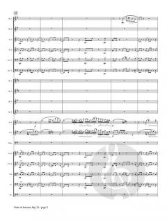 Valse di bravura von Franz Doppler 