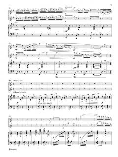 Fantaisie von Gabriel Fauré 