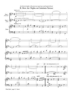 Flute Duel (for Irish and Classical Styles) von Shannon Heaton 