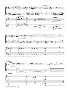 Mala Barvita Fantazija (Small Color Fantasy) von Crt Sojar Voglar 