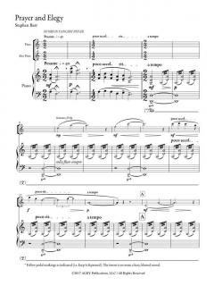 Prayer and Elegy von Stephen Barr 