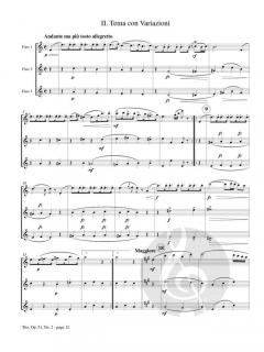 Trio No. 2 op. 51 von Antoine Benoit Tranquille Berbiguier 