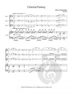 Celestial Fantasy von Elton E. Burgstahler 