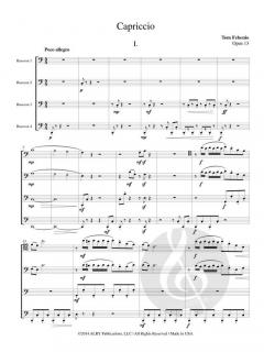Capriccio von Tom Febonio 
