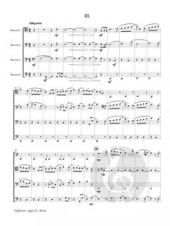 Capriccio von Tom Febonio 