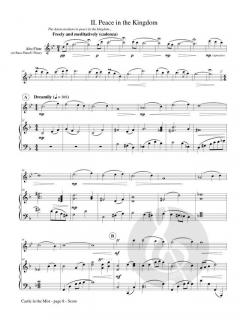 Castle in the Mist von Phyllis Avidan Louke 