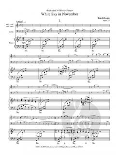 White Sky In November von Tom Febonio 