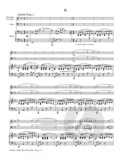 White Sky In November von Tom Febonio 