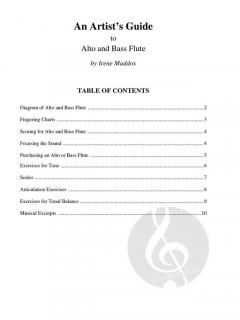 An Artist's Guide to Alto and Bass Flutes von Irene Maddox 