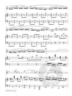 Bird Concerto von Petar Obradovic 