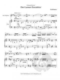 Des Larmes Encadrées von Garth Baxter 