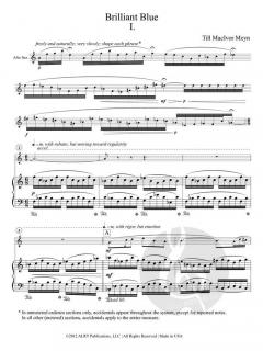 Brilliant Blue von Till MacIvor Meyn 