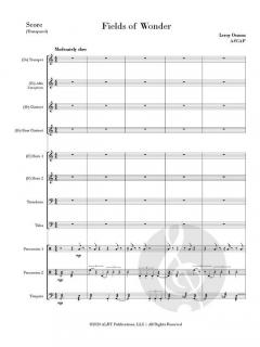 Fields of Wonder von Leroy Osmon 