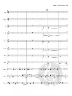 Fields of Wonder von Leroy Osmon 