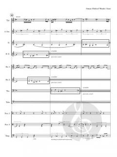 Fields of Wonder von Leroy Osmon 