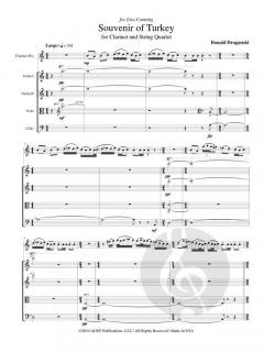 Souvenir of Turkey von Donald Draganski 