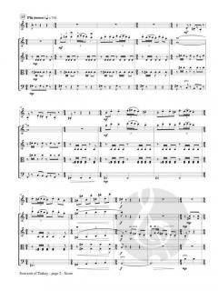 Souvenir of Turkey von Donald Draganski 